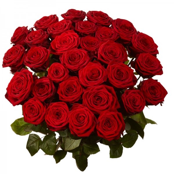 Valentine Bunch of 30 Red Roses