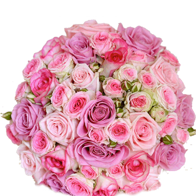 Bunch of 30 Mixed Shades of Pink Roses