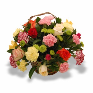 send carnations to mysore