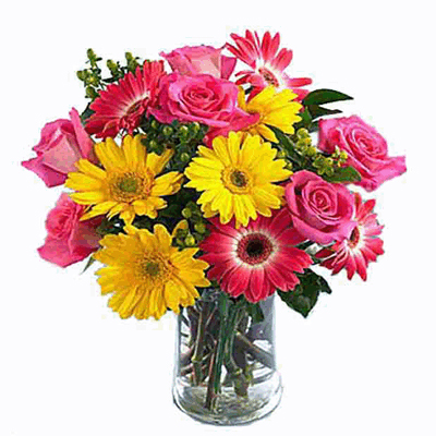Send 12 Different Colors Gerberas in A Vase to mysore